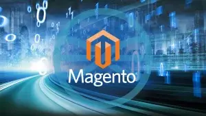 Requisitos y preparativos detallados del sistema Magento - Photon Flux | Servicios profesionales de reparación de WordPress, en todo el mundo, respuesta rápida