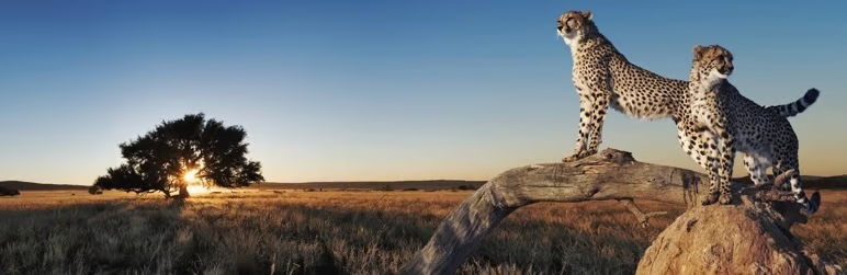 Image [6] - Best WordPress Plugins for 2024 (II) - Photon Flux Network | Service professionnel de réparation de WordPress, dans le monde entier, réponse rapide !