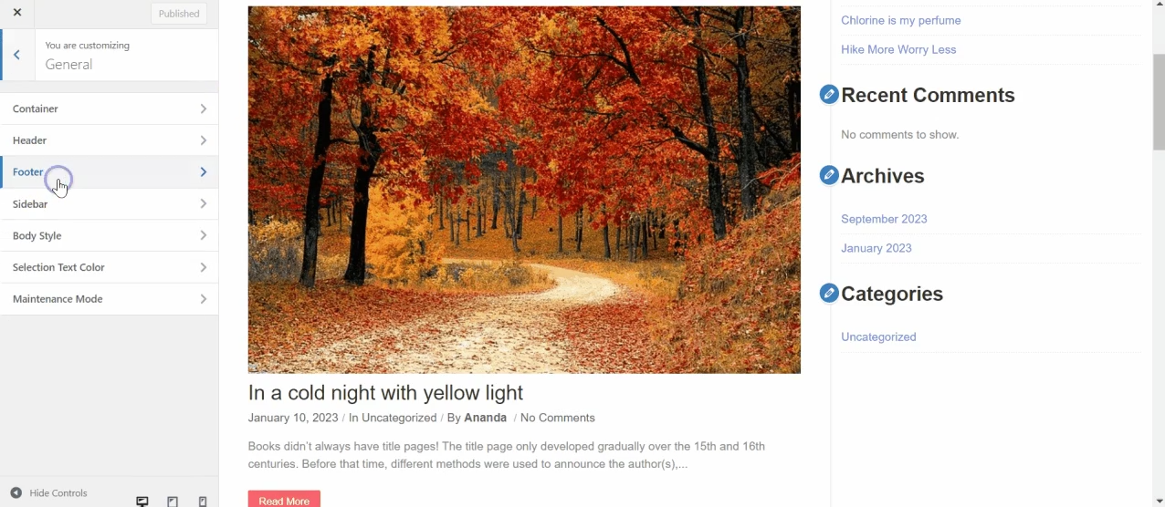 图片[3]-全面指南：如何在WordPress中删除侧边栏的8种方法-光子波动网 | 专业WordPress修复服务，全球范围，快速响应