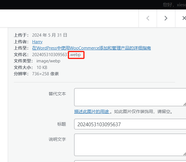图片[4]-WordPress网站上线前必备检查清单：确保最佳性能与安全-光子波动网 | 专业WordPress修复服务，全球范围，快速响应