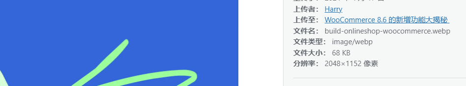 Images[4]-Using WebP image format on WordPress to improve website performance: a detailed guide - photonwave.com | Servicio Profesional de Reparación de WordPress, Cobertura Global, Respuesta Rápida