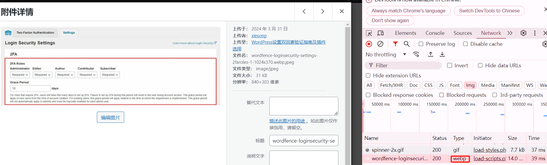 Image[3] - Explorer la compatibilité du format d'image WebP - Photon Flux | Service professionnel de réparation de WordPress, dans le monde entier, réponse rapide !