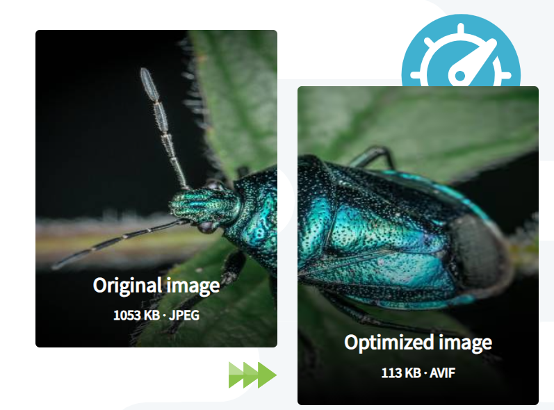 Image[1]-Optimize WordPress media library performance to prevent image loading problems - Photon Flux | Professional WordPress Repair Service, Global Reach, Fast Response