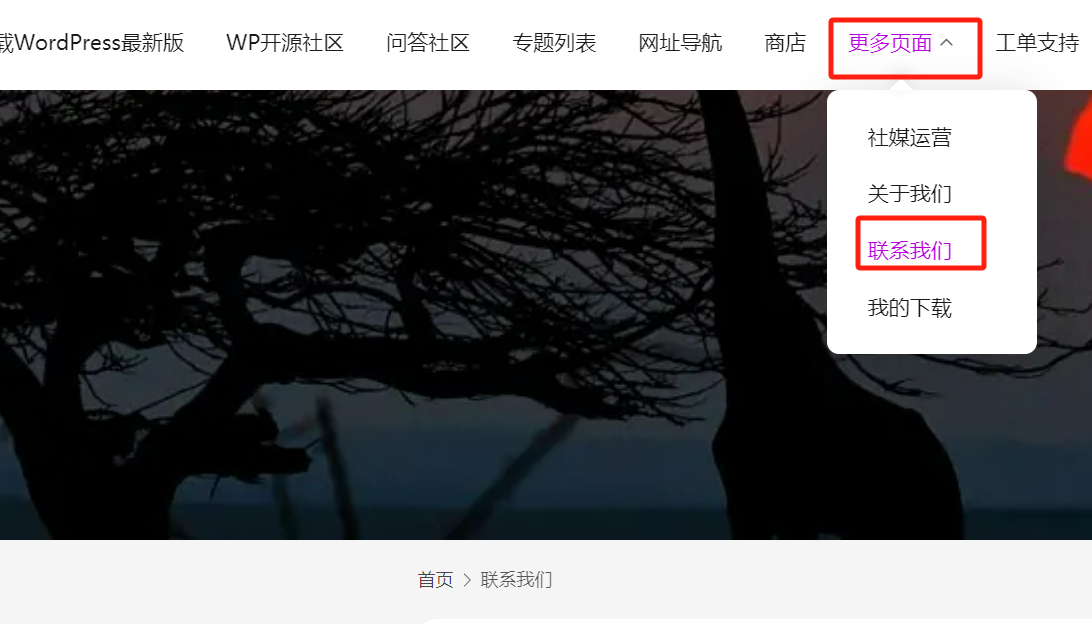 图片[8]-使用电子邮件链接重置WordPress密码的完整指南-光子波动网 | 专业WordPress修复服务，全球范围，快速响应