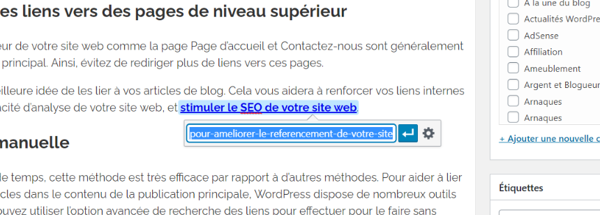 Imagen [4] - 12 Mejores Prácticas para Optimizar los Enlaces Internos de WordPress: Impulsando el Tráfico y los Resultados SEO - Photon Fluctuation Network | Servicio Profesional de Reparación de WordPress, Mundial, Respuesta Rápida
