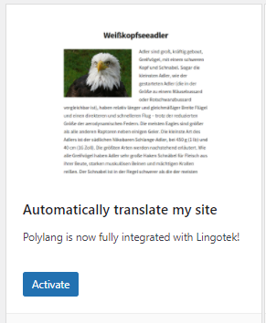 Imagen [13] - Cómo crear y gestionar una base de conocimientos multilingüe con el plugin Translator - Photonflux.com | Servicio profesional de reparación de WordPress, en todo el mundo, respuesta rápida