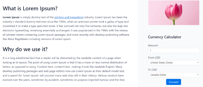 Image [8] - Comment ajouter facilement un convertisseur de devises dans un site WordPress ou WooCommerce - Photon Fluctuation Network | Professional WordPress Repair Service, Worldwide, Fast Response