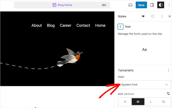 ¡Imagen[10]-Cómo cambiar las fuentes en temas de WordPress (5 maneras fáciles) - Photon Flux | Servicio profesional de reparación de WordPress, en todo el mundo, respuesta rápida!