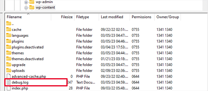 Debug Log Debug Log