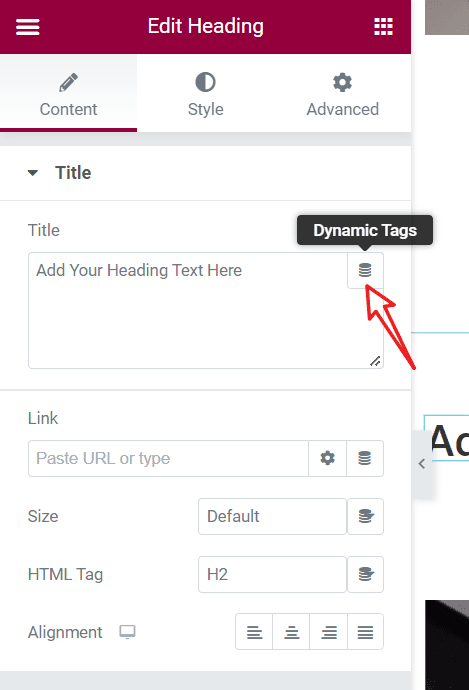 图片[2]-提升网站参与度：Elementor 动态内容的创新用法-光子波动网 | 专业WordPress修复服务，全球范围，快速响应