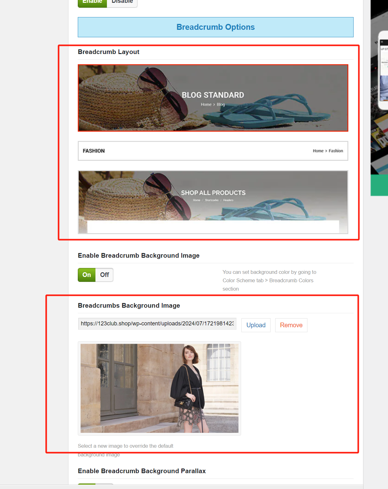Image [7]-Analyse complète des paramètres du thème BoxShop : rendez le design de votre site web plus exceptionnel (06) - Photon Fluctuation Network | Service professionnel de réparation de WordPress, dans le monde entier, réponse rapide