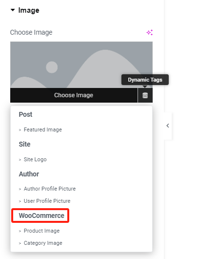 图片[23]-如何使用Elementor Pro循环网格创建 WordPress 类别页面-光子波动网 | 专业WordPress修复服务，全球范围，快速响应