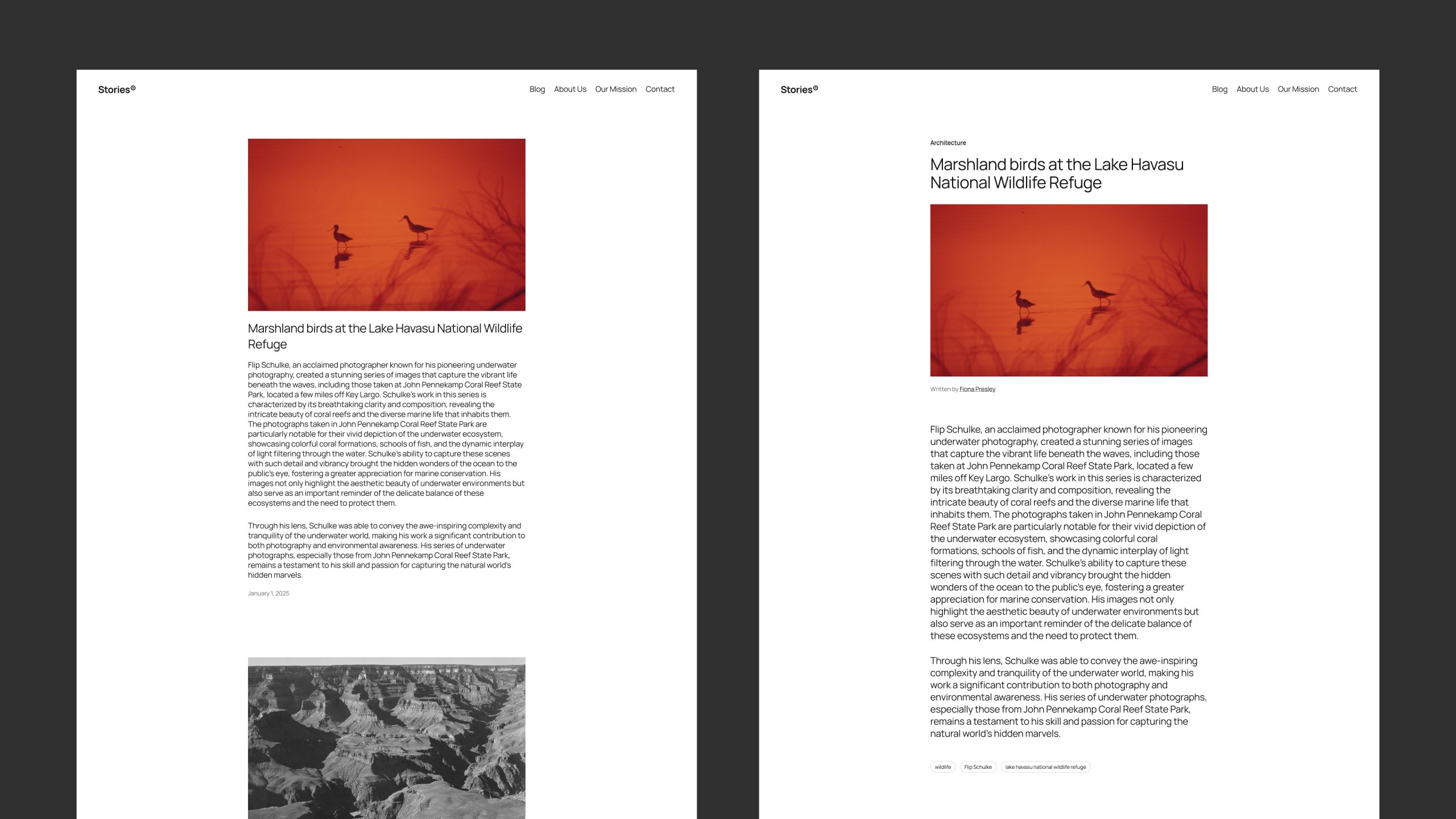 图片[4]-探索 WordPress 2025 默认主题：Twenty Twenty-Five 的灵感与设计理念-光子波动网 | 专业WordPress修复服务，全球范围，快速响应