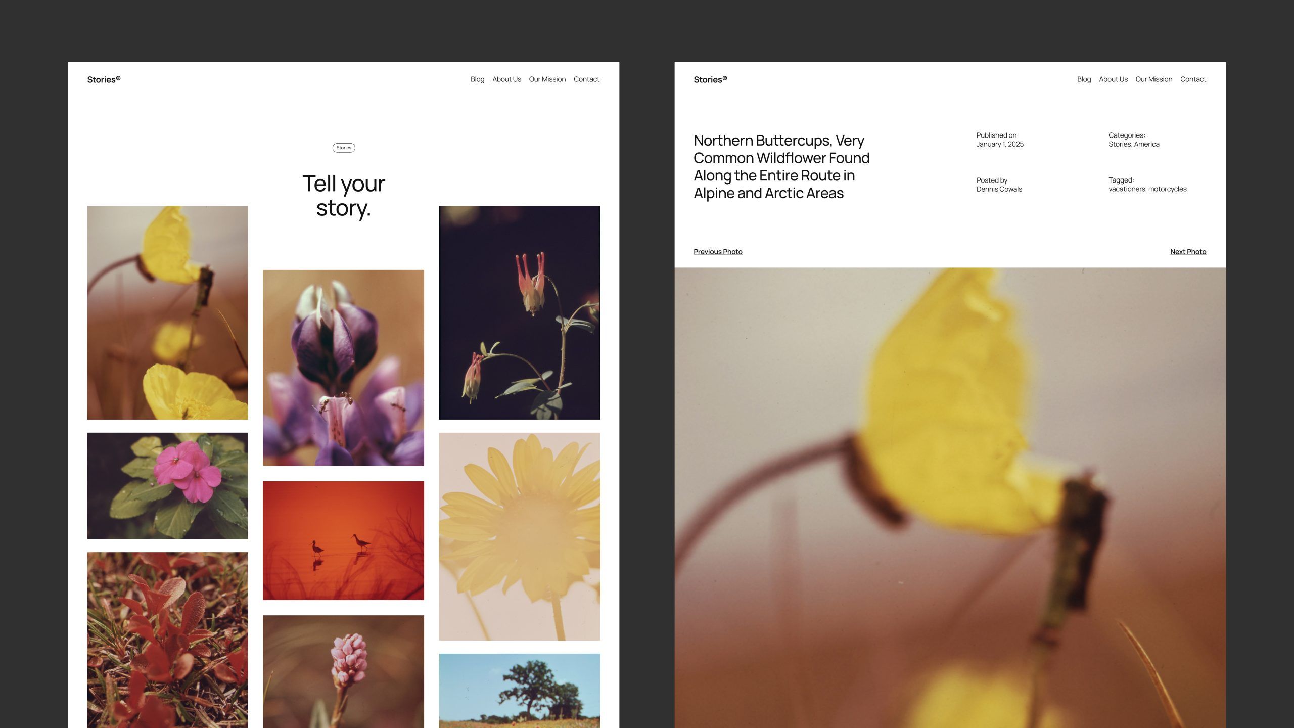 图片[5]-探索 WordPress 2025 默认主题：Twenty Twenty-Five 的灵感与设计理念-光子波动网 | 专业WordPress修复服务，全球范围，快速响应