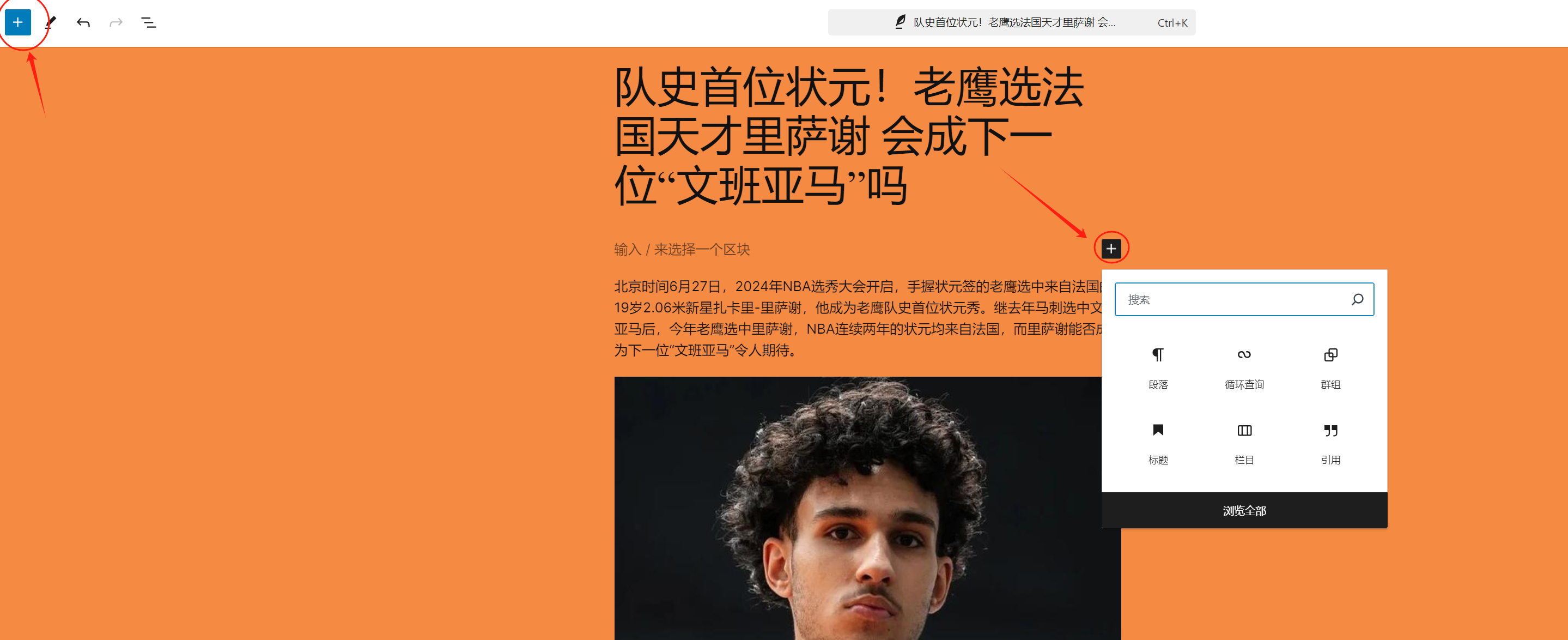 图片[2]-如何使用 WordPress 默认主题和 Gutenberg 编辑器编写博客文章（02）-光子波动网 | 专业WordPress修复服务，全球范围，快速响应