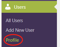 Imagen [16] - Custom WordPress Admin Dashboard: A Comprehensive Guide to Enhance Your Website Management Experience - Photon Flux | Servicio Profesional de Reparación de WordPress, Alcance Global, Respuesta Rápida