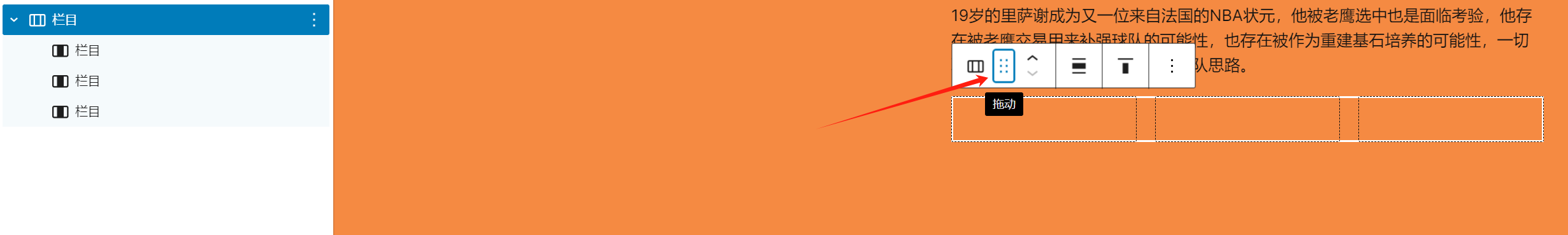 图片[5]-如何使用 WordPress 默认主题和 Gutenberg 编辑器编写博客文章（02）-光子波动网 | 专业WordPress修复服务，全球范围，快速响应