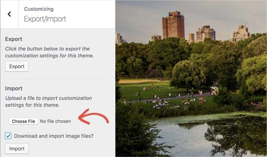 图片[17]-如何在不丢失自定义设置的情况下更新 WordPress 主题-光子波动网 | 专业WordPress修复服务，全球范围，快速响应