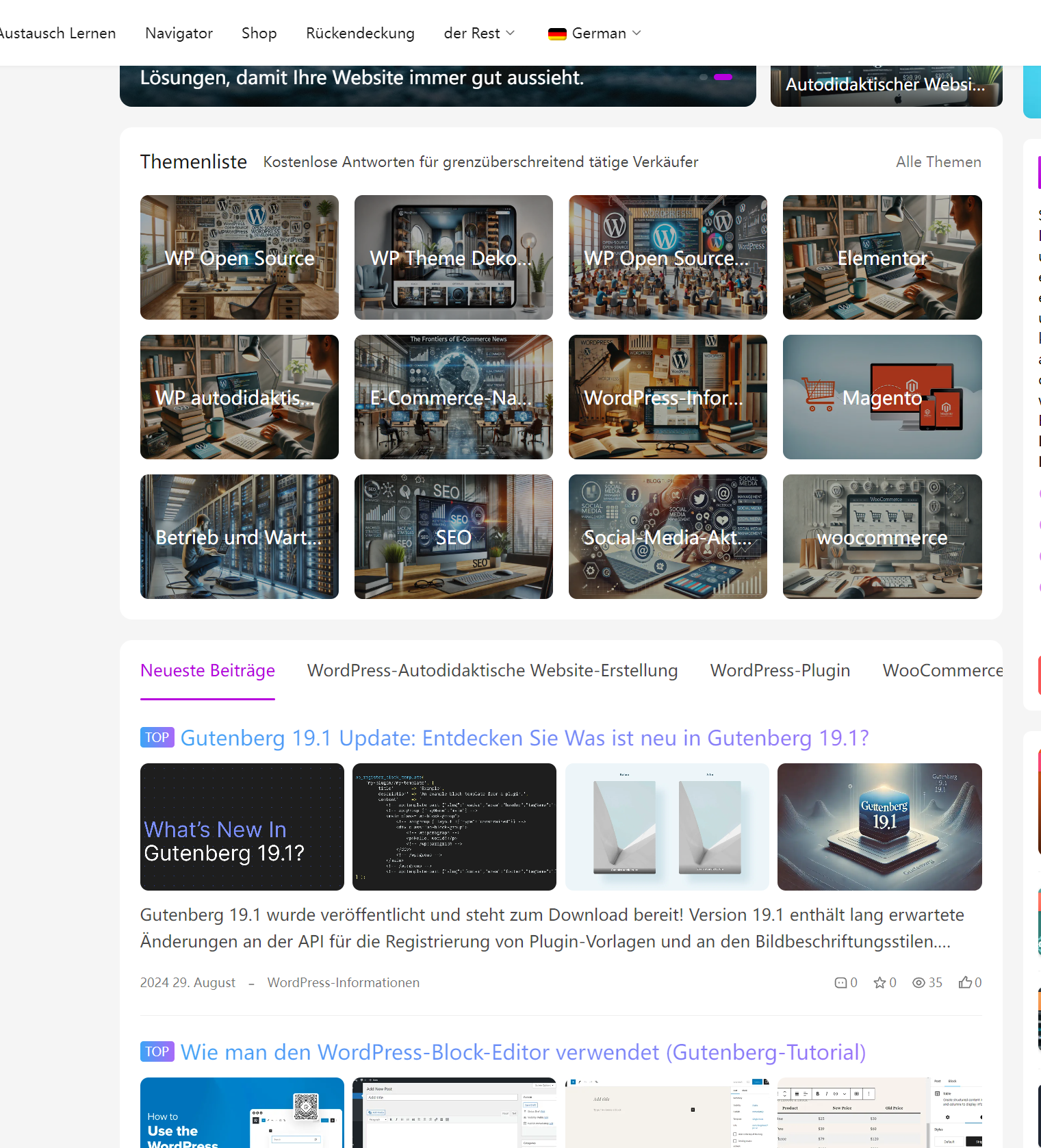 图片[17]-如何在WordPress网站中设置多语言插件，提升国际用户体验-光子波动网 | 专业WordPress修复服务，全球范围，快速响应