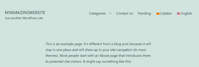 图片[11]-如何用TranslatePress创建多语言 WordPress 网站（01）-光子波动网 | 专业WordPress修复服务，全球范围，快速响应