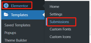 图片[3]-如何管理 Elementor 表单提交-光子波动网 | 专业WordPress修复服务，全球范围，快速响应