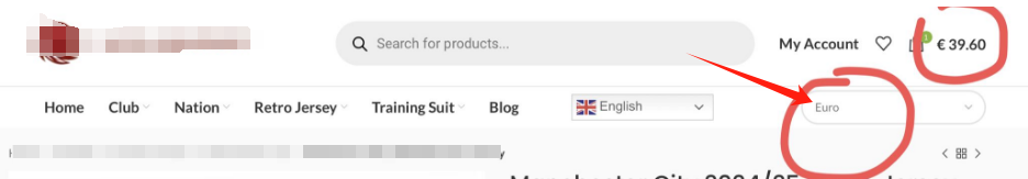 图片[10]-如何在 WooCommerce 中设置多货币功能：手动选择与自动切换的详细教程（02）-光子波动网 | 专业WordPress修复服务，全球范围，快速响应