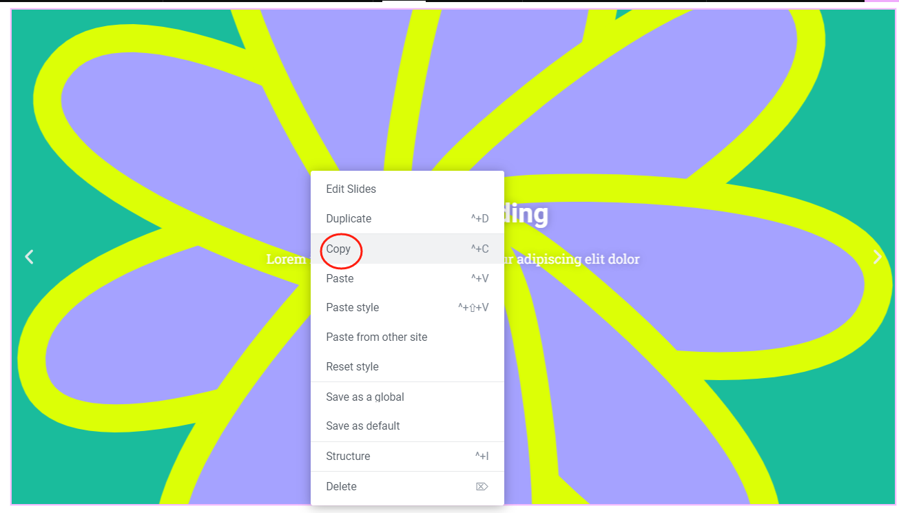 图片[9]-如何为不同页面设置不同的Elementor全宽幻灯片-光子波动网 | 专业WordPress修复服务，全球范围，快速响应