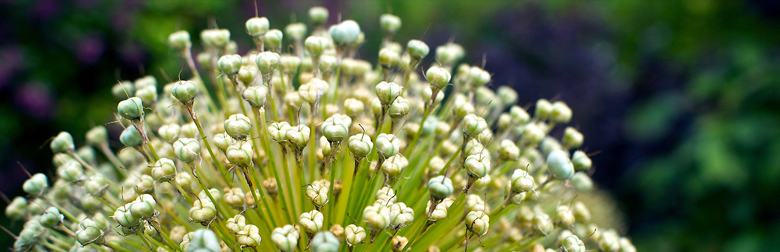 Image[3]-WordPress 301 Redirect: Best Practices for Fixing Dead Links and Enhancing User Experience - Photon Flux | Professional WordPress repair service, worldwide, fast response