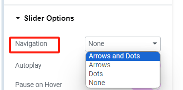 图片[13]-如何使用Elementor创建带有文字覆盖的全宽幻灯片-光子波动网 | 专业WordPress修复服务，全球范围，快速响应