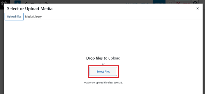图片[2]-怎么在 WordPress 网站中正确添加图片-光子波动网 | 专业WordPress修复服务，全球范围，快速响应