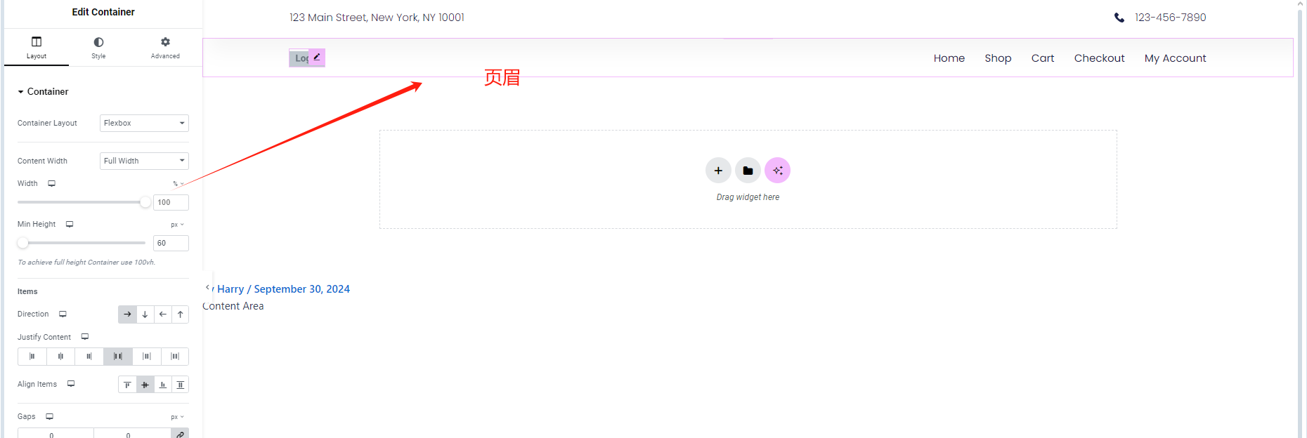 Imagen [9] - Simplifique la gestión del diseño de sitios web multipágina con Elementor Site Settings - Photon Flux | Servicio profesional de reparaciones de WordPress, alcance global, respuesta rápida