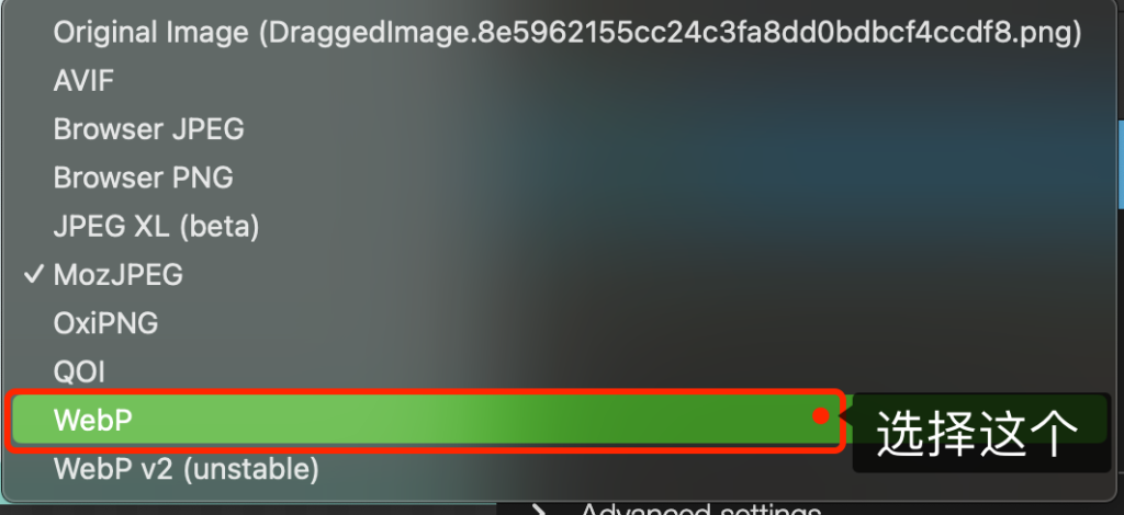 Imagen[5]-Tutorial Nanny ultra detallado: Conversión práctica de imágenes WebP en WordPress para acelerar el rendimiento del sitio web