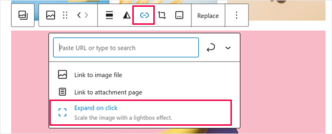图片[11]-WordPress 6.7 版本更新详解：全新功能与改进深度解析-光子波动网 | 专业WordPress修复服务，全球范围，快速响应