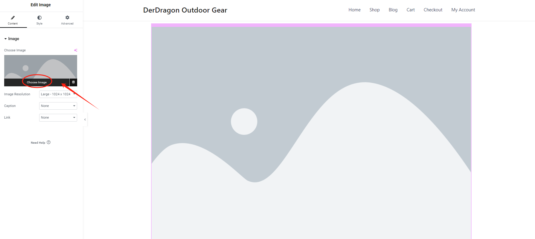 图片[6]-如何在 Elementor 中轻松实现图像灯箱效果-光子波动网 | 专业WordPress修复服务，全球范围，快速响应