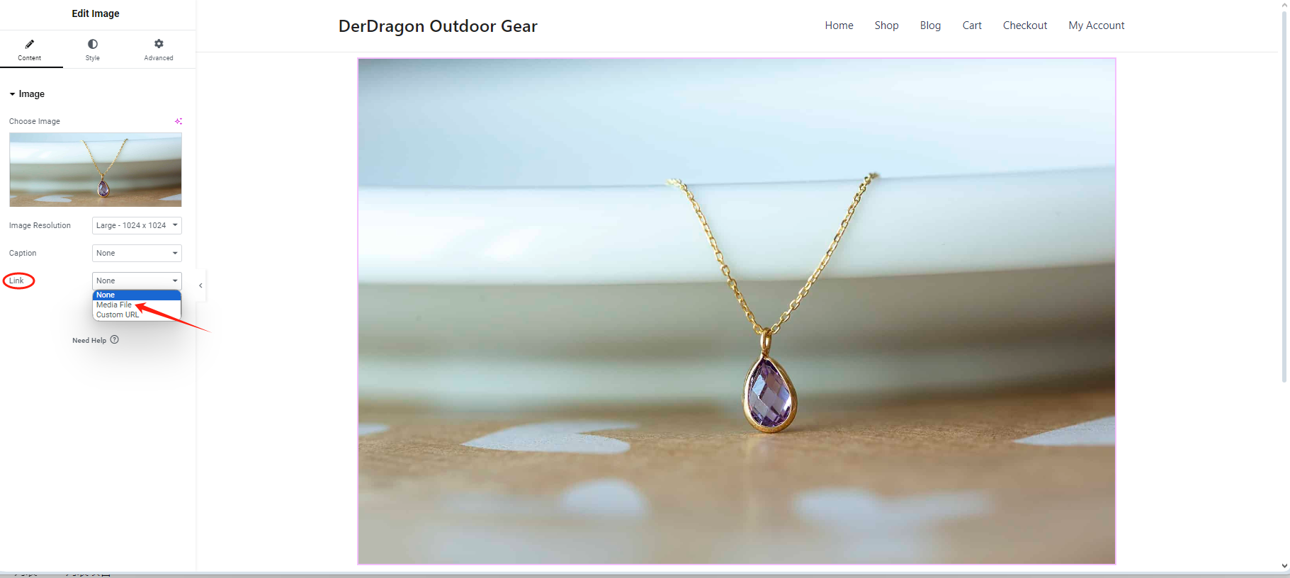 图片[7]-如何在 Elementor 中轻松实现图像灯箱效果-光子波动网 | 专业WordPress修复服务，全球范围，快速响应