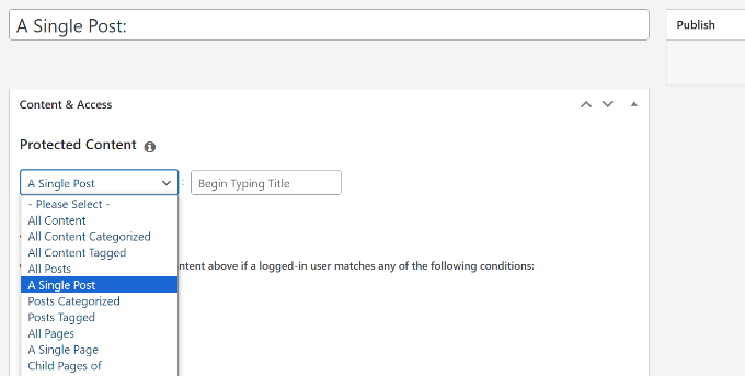 图片[10]-如何在 WordPress 中将内容限制：会员访问权限和内容保护指南-光子波动网 | 专业WordPress修复服务，全球范围，快速响应
