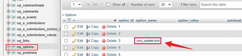 图片[7]-快速修复 WordPress“目前正在进行另一项更新”错误的实用指南-光子波动网 | 专业WordPress修复服务，全球范围，快速响应