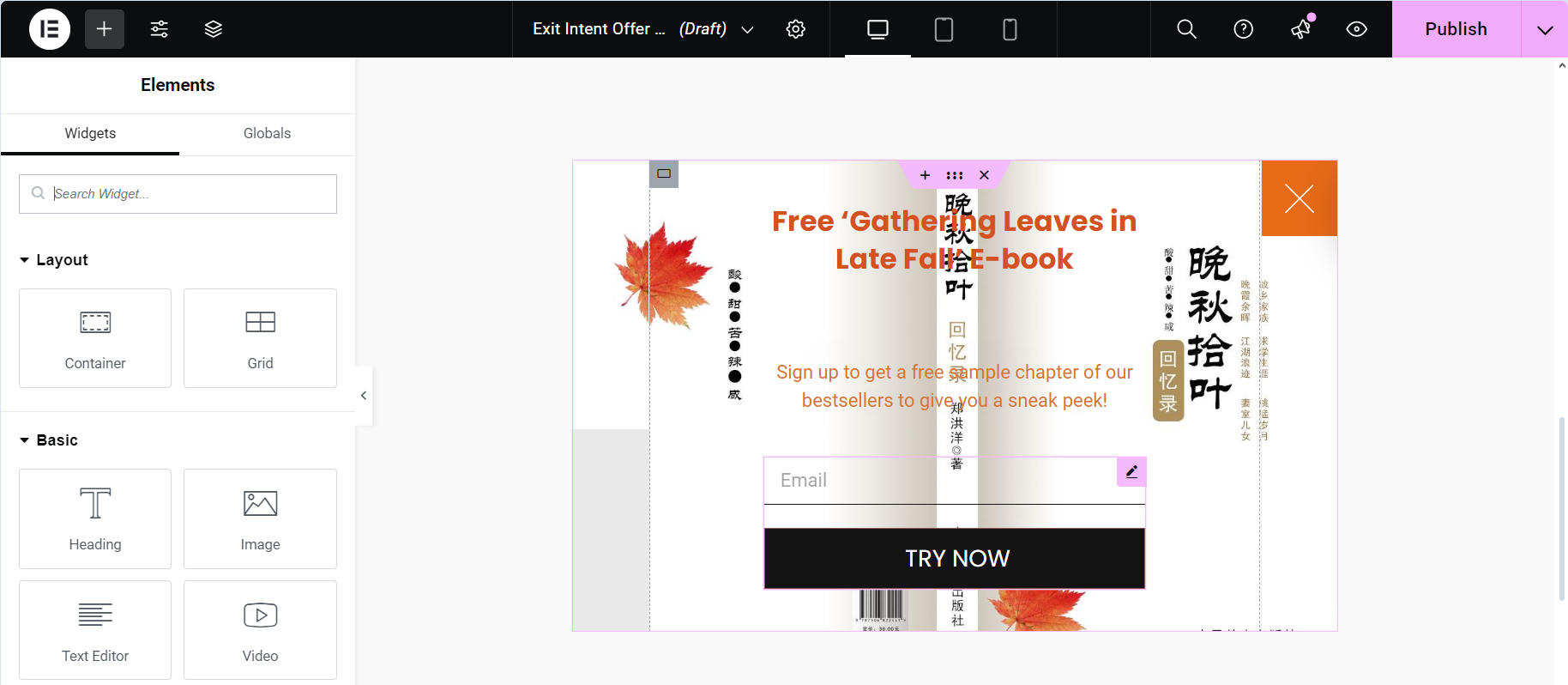 图片[8]-如何使用 Elementor Pro 创建退出意图弹出窗口-光子波动网 | 专业WordPress修复服务，全球范围，快速响应
