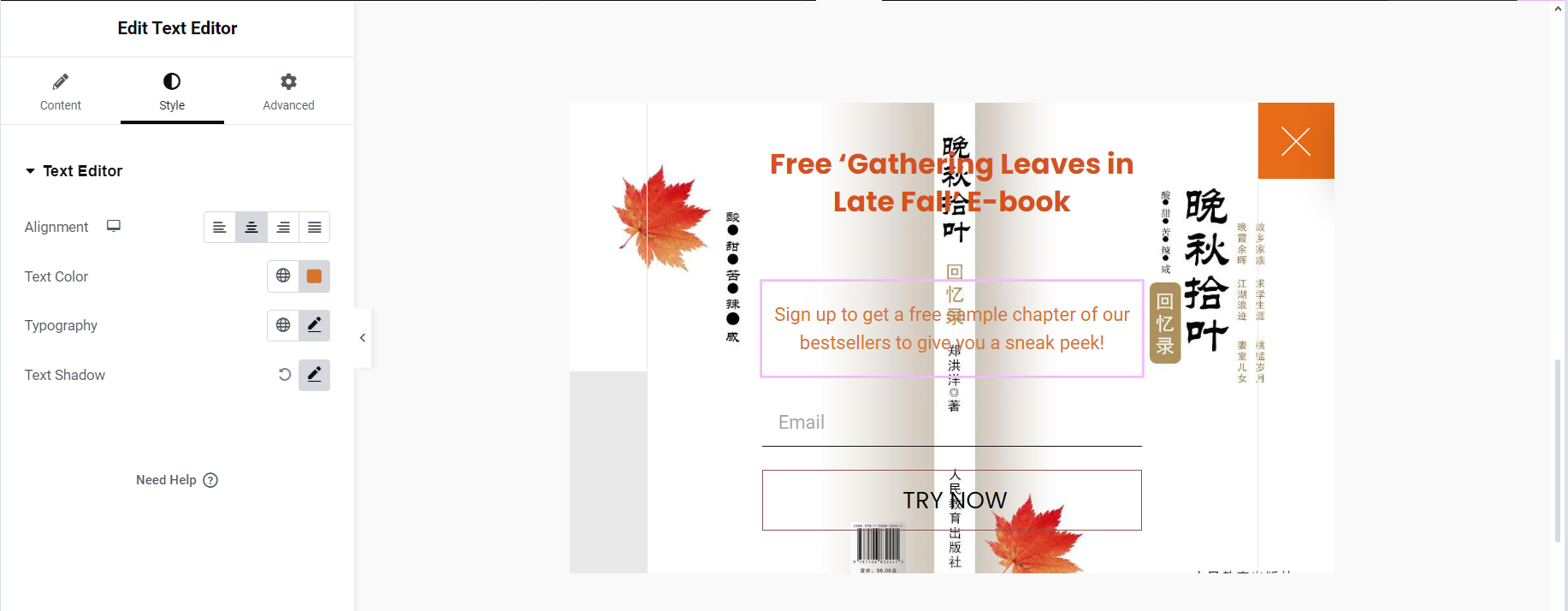 图片[1]-如何使用 Elementor Pro 创建退出意图弹出窗口-光子波动网 | 专业WordPress修复服务，全球范围，快速响应