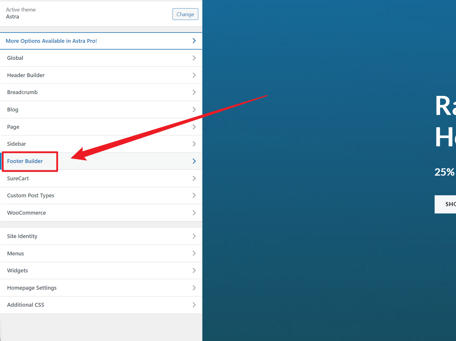 图片[1]-如何修改WordPress主题中的页脚版权信息-光子波动网 | 专业WordPress修复服务，全球范围，快速响应