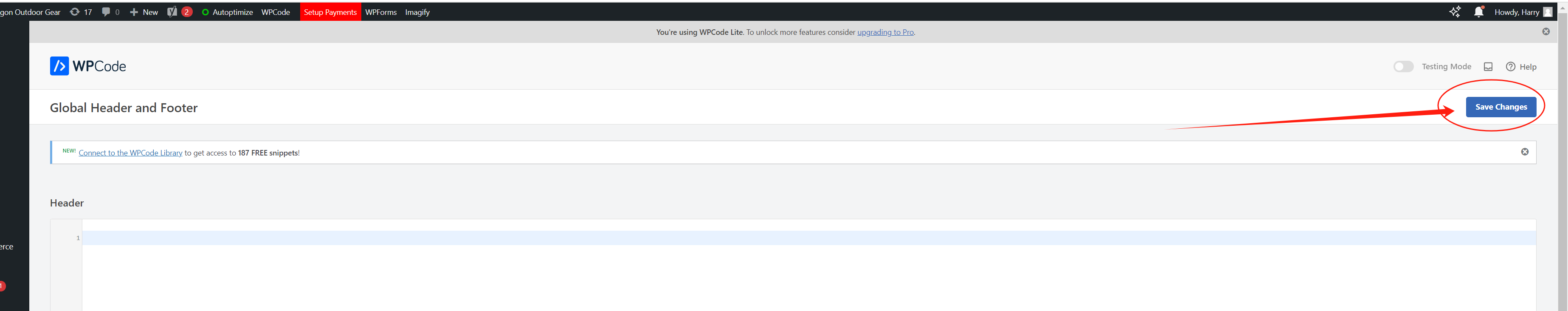 图片[23]-如何修改WordPress主题中的页脚版权信息-光子波动网 | 专业WordPress修复服务，全球范围，快速响应