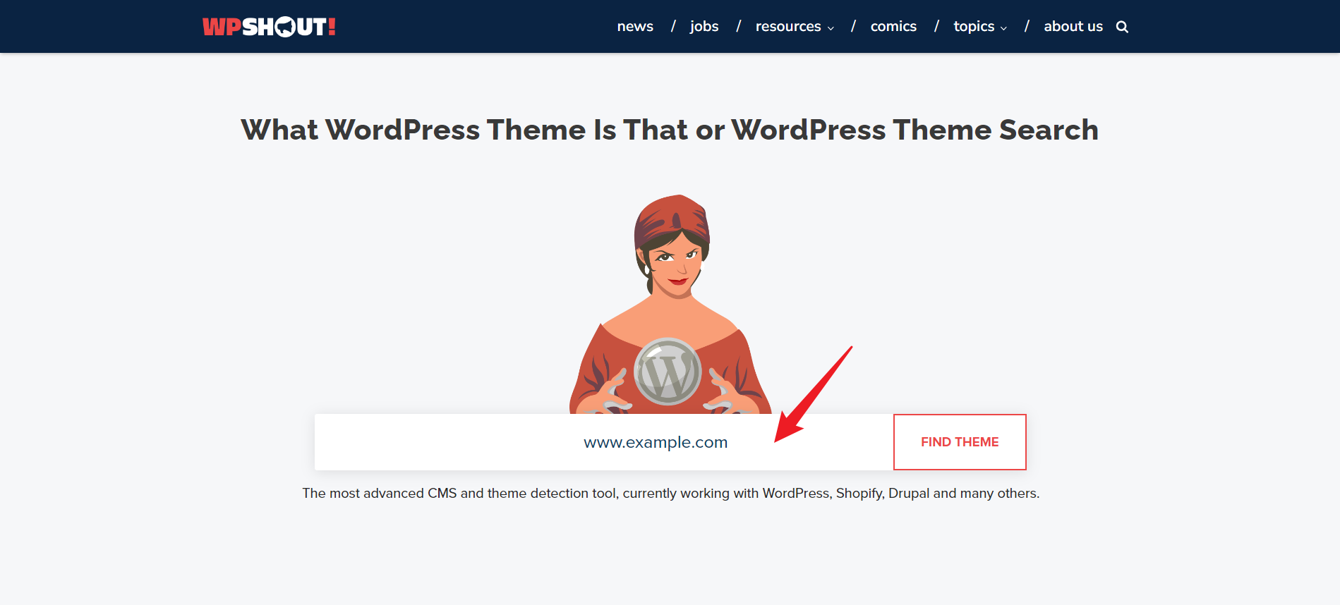 Imagen [6] - Cómo averiguar rápidamente qué tema se está utilizando en un sitio WordPress - Photon Flux | Servicio profesional de reparaciones de WordPress, alcance global, respuesta rápida