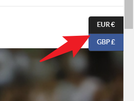 Imagen [24]-Cómo conseguir funcionalidad multidivisa en temas de WordPress a través del plugin FOX Currency Switcher - Photon Switcher | Servicio Profesional de Reparaciones de WordPress, Alcance Global, Respuesta Rápida