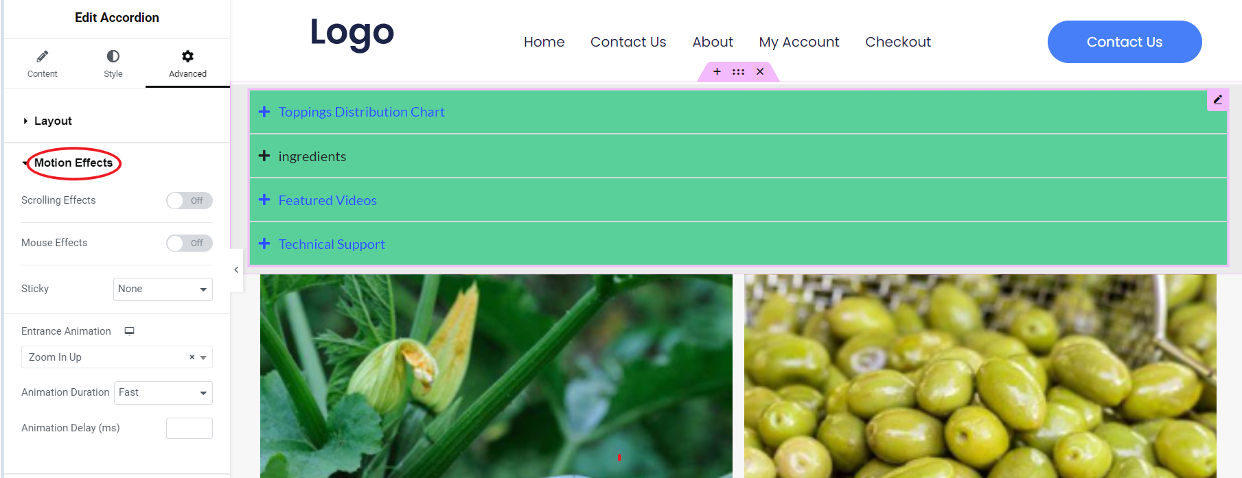 图片[24]-5种使用手风琴小部件的创意方法：如何在 Elementor 中嵌入图表、图像和更多内容-光子波动网 | 专业WordPress修复服务，全球范围，快速响应