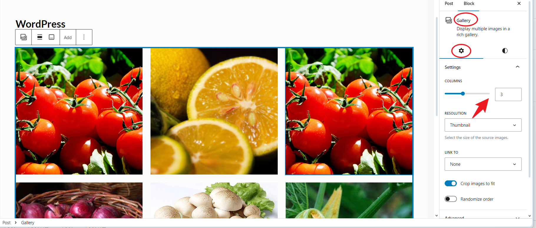 图片[4]-如何使用 Gutenberg Gallery Block 在 WordPress 中创建和优化图库-光子波动网 | 专业WordPress修复服务，全球范围，快速响应