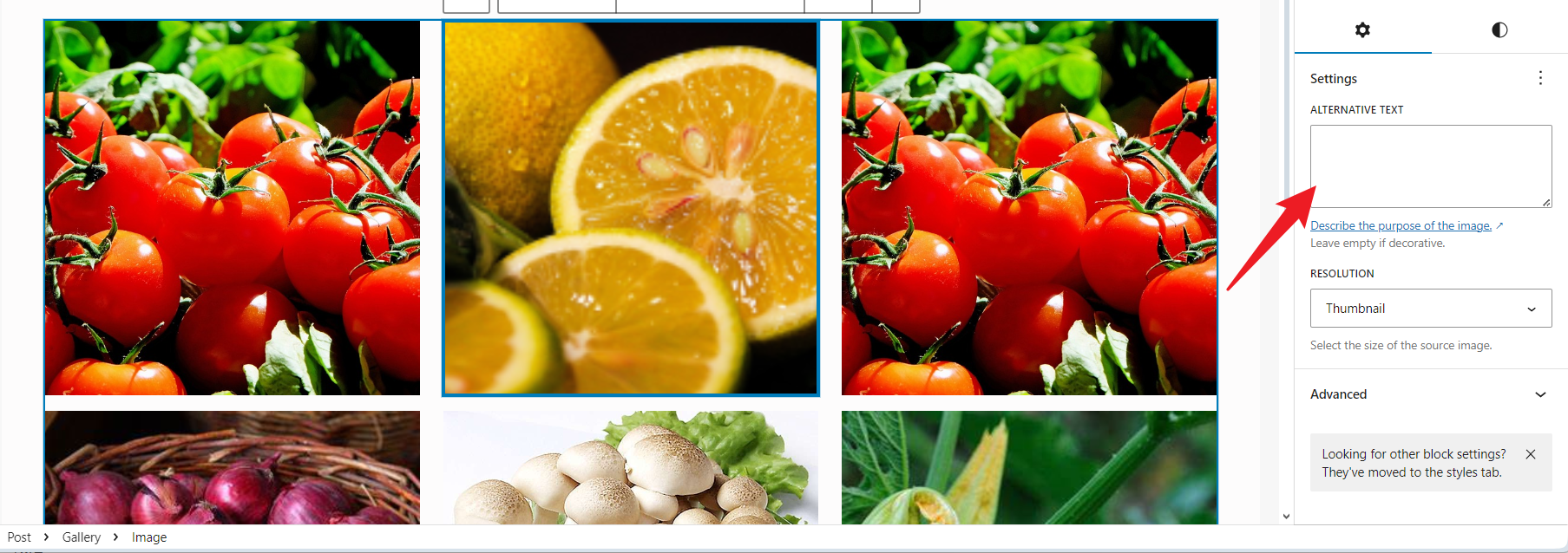 图片[6]-如何使用 Gutenberg Gallery Block 在 WordPress 中创建和优化图库-光子波动网 | 专业WordPress修复服务，全球范围，快速响应