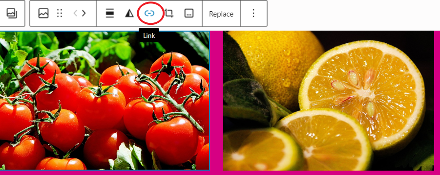 图片[10]-如何使用 Gutenberg Gallery Block 在 WordPress 中创建和优化图库-光子波动网 | 专业WordPress修复服务，全球范围，快速响应