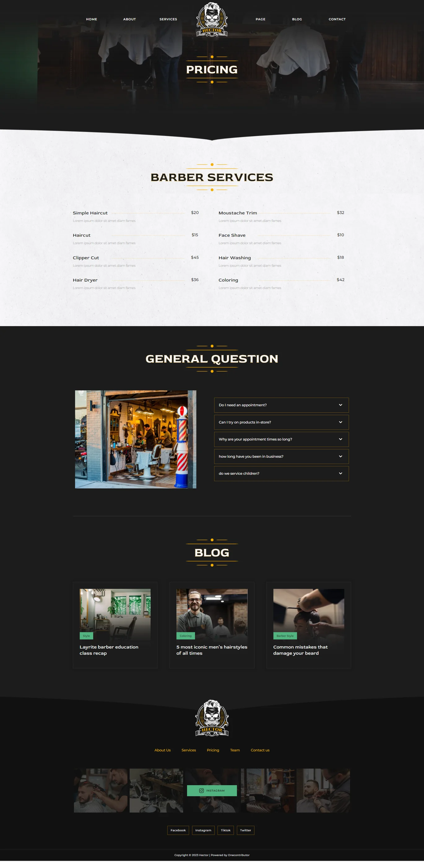 Imagen [2] - Hector - Hairdresser Elementor Template Kit - Photon Fluctuation Network | Servicio profesional de reparación de WordPress, alcance global, respuesta rápida