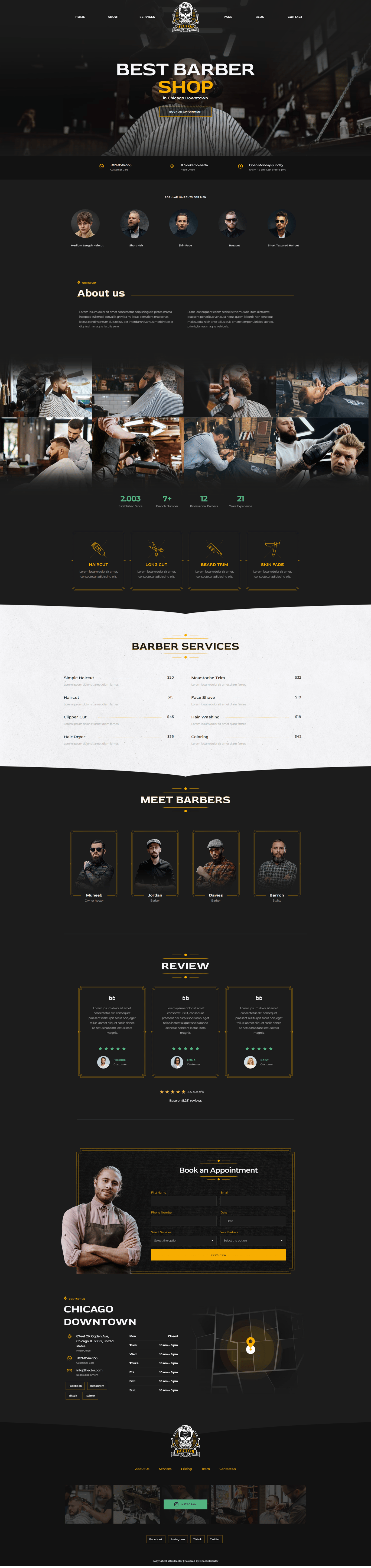 Imagen [1] - Hector - Hairdresser Elementor Template Kit - Photon Fluctuation Network | Servicio profesional de reparación de WordPress, alcance global, respuesta rápida