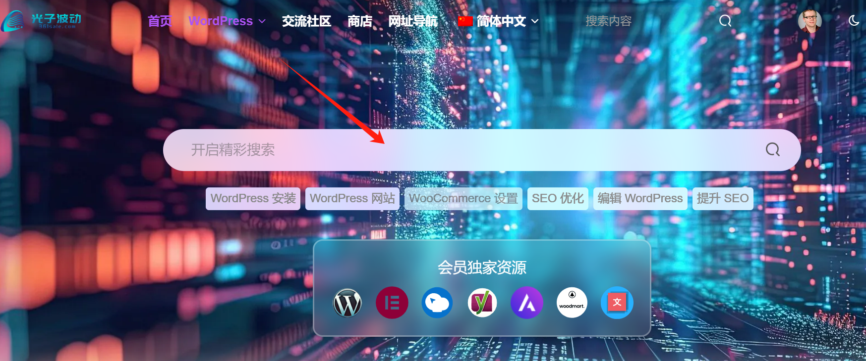 Image [3] - Guide complet : Comment dépanner et réparer les erreurs courantes de WordPress